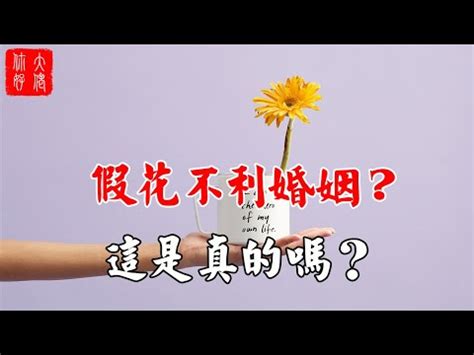 家裡不能放假花|2024年假花擺放指南